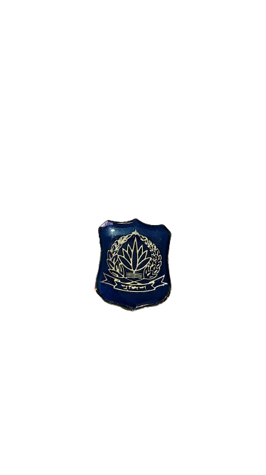 police coutpin